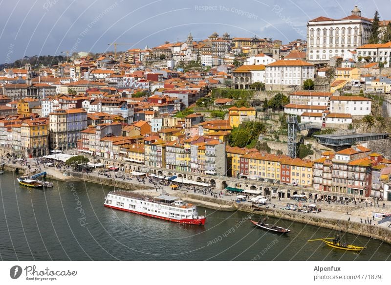 Portoerhöhung Portugal Tourismus Europa Ferien & Urlaub & Reisen Großstadt Stadt Stadtzentrum Straße Fluss urban Außenaufnahme Architektur historisch Ansicht