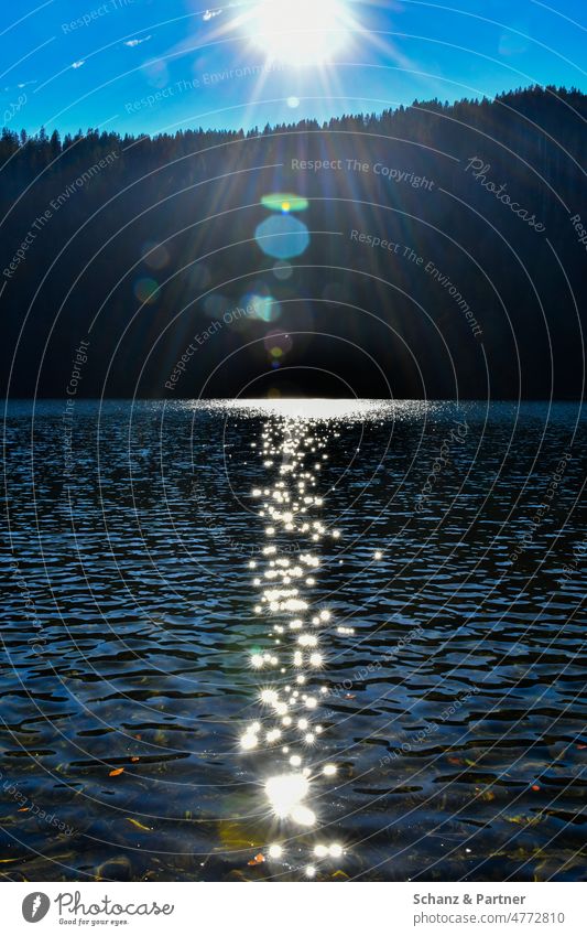 Reflexion von Sonnenstrahlen in der Wasseroberfläche eines Bergsees Schwarzwald See Urlaub Himmel Horizont gleißend Lensflare Lensflares Gegenlicht geblendet
