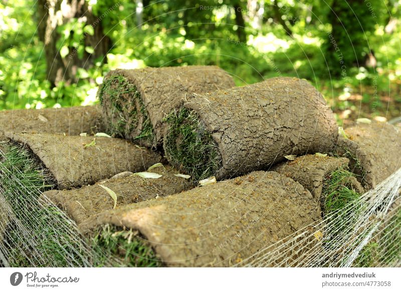 Nahaufnahme von Teppichgras Teppiche im Freien mit grünen und braunen Muster. Rasen aus grünem Gras und Erde wird in Rollen gerollt, der Rasen in einem Stapel ist bereit für die Begrünung.