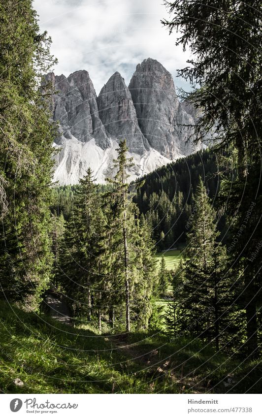 Geisler [portrait] Ferien & Urlaub & Reisen Tourismus Baum Gras Wiese Wald Felsen Alpen Berge u. Gebirge Gipfel Wege & Pfade stehen Wachstum ästhetisch
