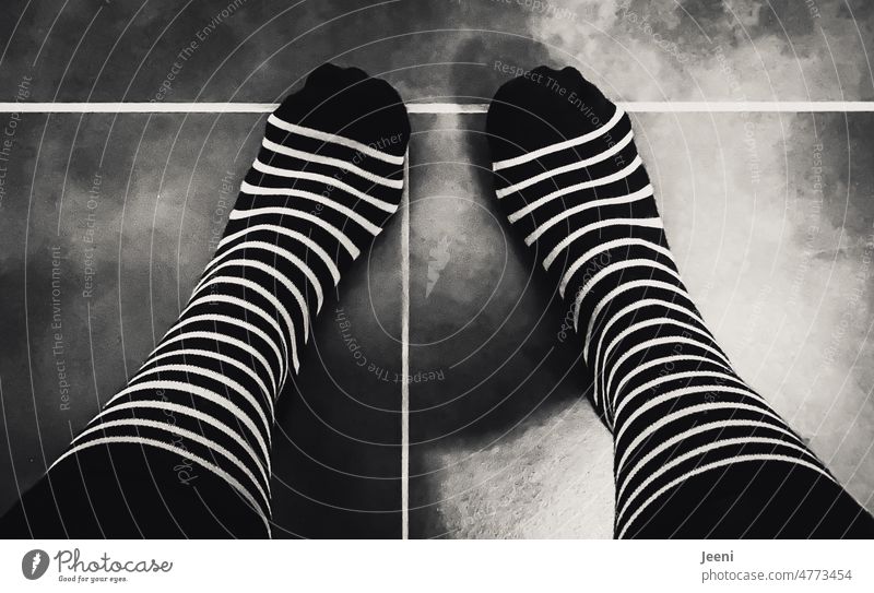 Zebra in Sockenform - oder Socken in Zebrastreifen schwarzweiß gestreift von oben Beine Füße Bekleidung Symmetrie Frau Mensch Strümpfe Muster stehen Mode