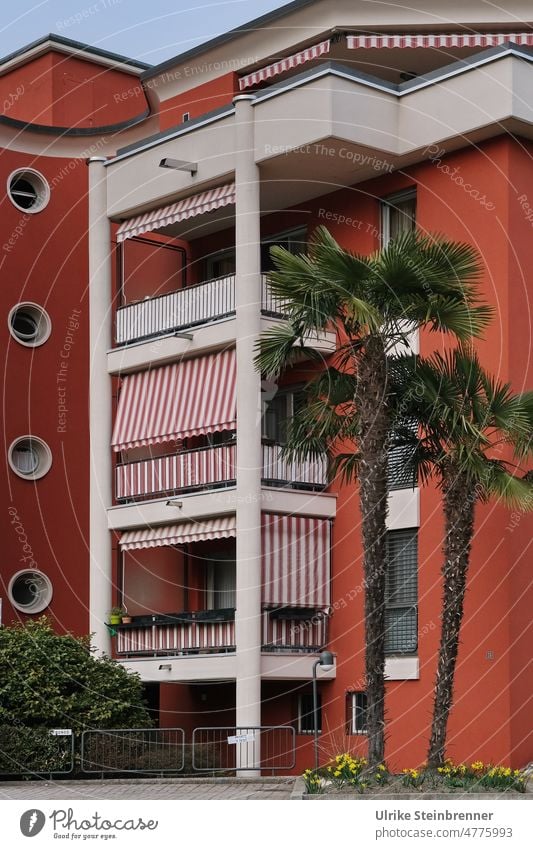 Ferienfeeling in Lugano Haus Gebäude rot Balkon Markise rotweiß gestreift Palmen Ferienwohnung Architektur Schweiz Fassade Fenster Bauwerk Stadt Flair