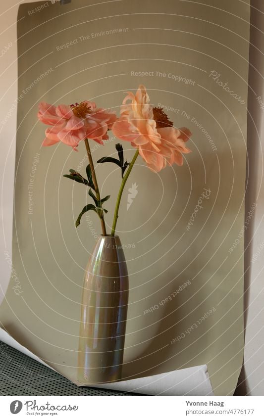 Romantische Pfingstrosen Blumenstrauß Pfingsten Vase Englisch Französisch Stillleben Stillleben-Fotografie Pflanze apricot rosa grün grüner Hintergrund Tapete