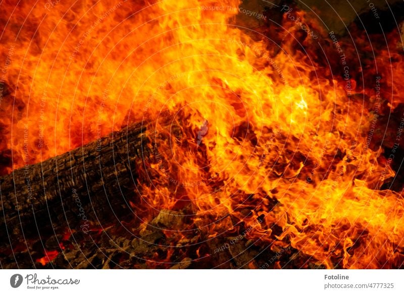 Flammendes Inferno II - Ein Baumstamm wird beim Osterfeuer von den Flammen verschlungen. Feuer Brand brennen heiß Wärme gelb Nacht orange Licht Holz schwarz