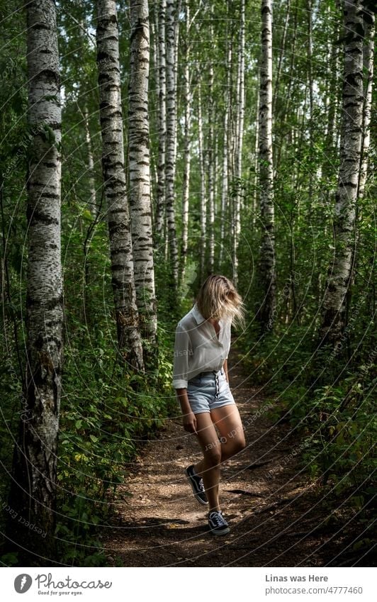 Ein kleiner Pfad im Wald, umgeben von herrlichen Birken. Die wilde Natur begleitet die wilden Mädchen in diesem Wald. Bekleidet mit einem weißen Hemd und blauen Jeans läuft sie frei herum. Eine schöne blonde Frau an einem sonnigen Sommertag.