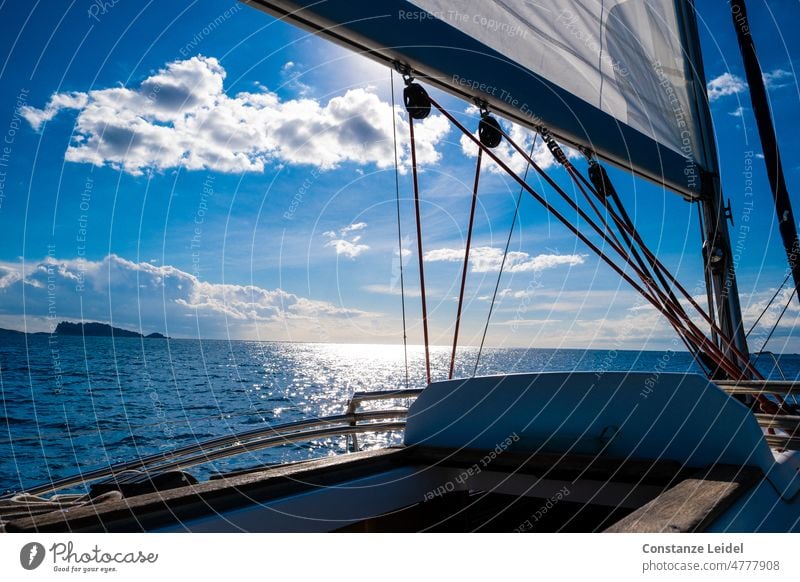 Segelboot auf dem Meer mit Horizont im Hintergrund Segeln Wasser Ferien & Urlaub & Reisen Himmel Sommer Freiheit Schifffahrt Jacht Segelschiff Bootsfahrt