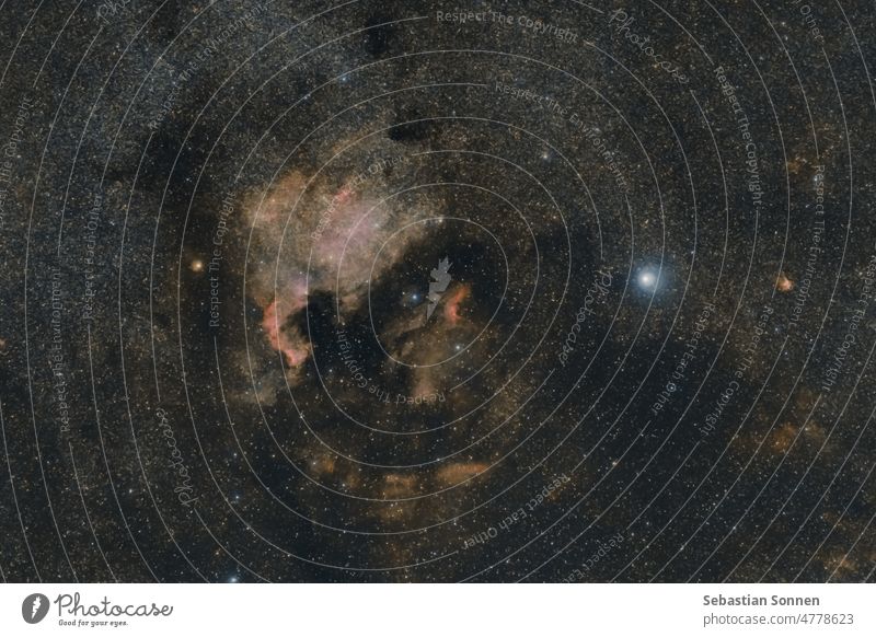 Nordamerikanebel oder NGC 7000 im Sternbild des Schwans Raum Weltall Nebel ngc7000 nordamerikanischer nebel Nacht Astronomie Himmel Schmuckkörbchen Wasserstoff