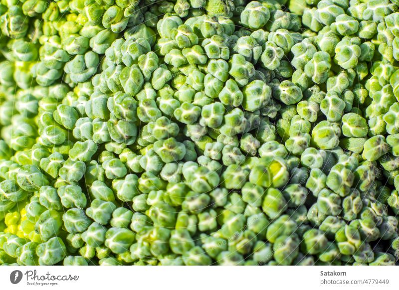 Oberflächentextur der Frische Brokkoli-Gemüse Lebensmittel grün Nahaufnahme Textur Makro Natur Bestandteil Hintergrund sich[Akk] anklammern Gesundheit natürlich