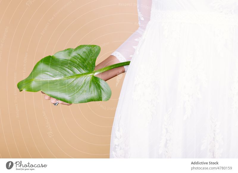 Anonyme Braut mit grünem Blatt Frau weißes Kleid Veranstaltung Hochzeit Stil Anlass geblümt Pflanze elegant präsentieren duftig Aroma Feiertag hochzeitlich