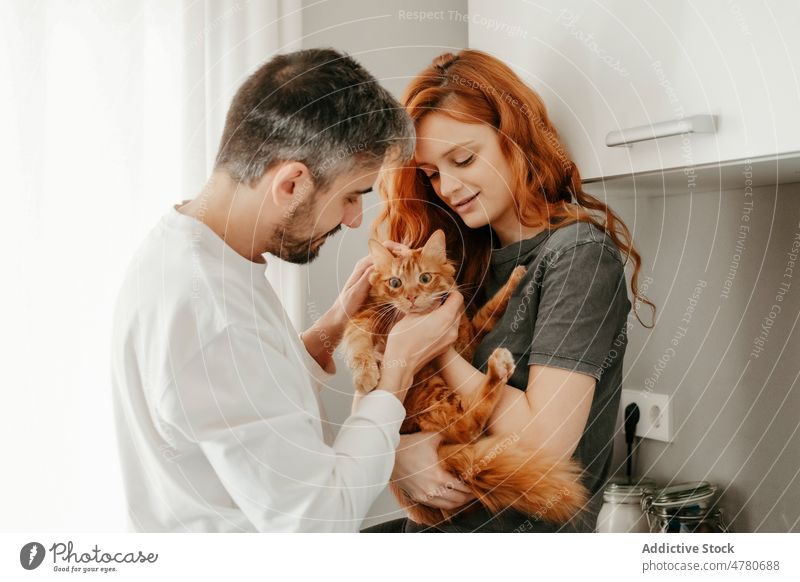 Ehepaar streichelt Katze in der Küche Paar rote Haare Tier Haustier Kraulen Streicheln Partnerschaft Rotschopf Besitzer Bonden Liebe Zusammensein Ingwer