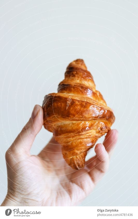 Hand mit hausgemachtem Croissant. Französisch Beteiligung Frau selbstgebacken Frühstück Morgen Snack Lebensmittel Gebäck Bäckerei traditionell Dessert lecker