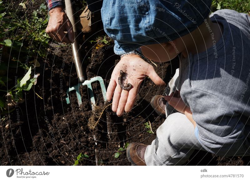 Kindheit | gemeinsam die Welt entdecken. Menschen Familie Opa und Enkel im Garten Erde graben Mistgabel Gartengerät Hand Kleinkind Regenwurm