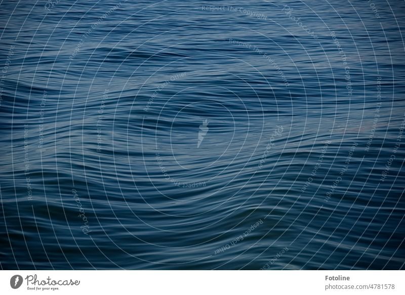 Sanfte Wellen kräuseln das Wasser der Nordsee. Meer blau Außenaufnahme Farbfoto Urelemente Tag nass Wellengang Wellenform wellenförmig seicht seichtes Wasser