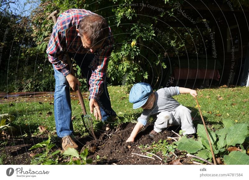 Kindheit | Urban Gardening | Opa & Enkel graben im Garten. Menschen Familie Erwachsener Großvater & Enkel Kleinkind Erde Beet gärtnern ernten umgraben Natur