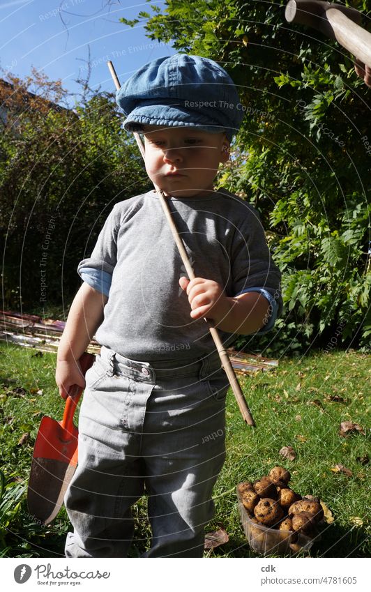 Kindheit | Urban Gardening | dabei sein ist alles. Kleinkind Junge Mensch klein jung Garten Gartenarbeit mithelfen arbeiten gärtnern graben Schaufel ernten