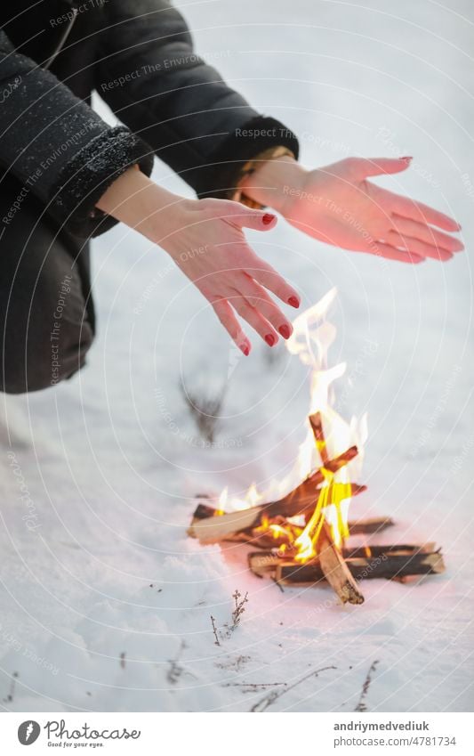 Ausgeschnittenes Foto einer jungen Frau, die ihre Hände am Lagerfeuer im Winterwald wärmt. Nahaufnahme im Freien Schnee Wald warm Feuer kalt Natur reisen