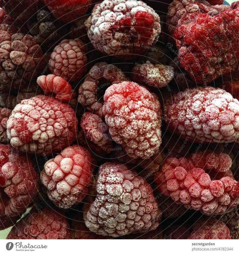 foodporn Himbeeren Ernährung gesund gefroren kalt Detail Frucht Bioprodukte Farbfoto lecker rot Vegetarische Ernährung Lebensmittel weiß Schimmelpilze