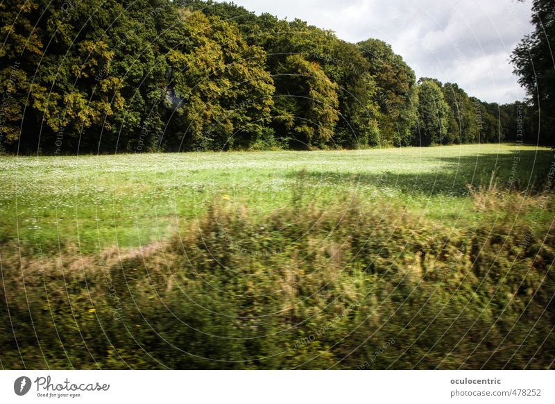 vorbeifahren Natur Landschaft Wolken Frühling Sommer Baum Gras Niederwald Wald authentisch grün Deutschland Idylle Wärme Sonnenlicht Rasen Schatten Laubwald