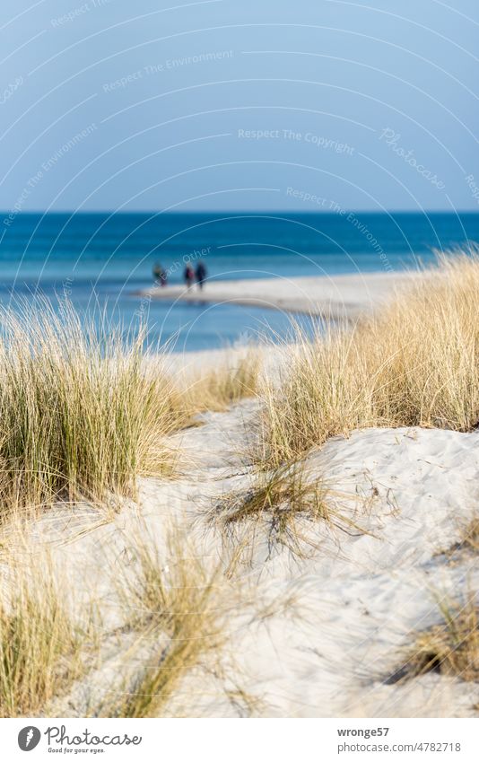 Ruhe vor dem Sturm - einige wenige Spaziergänger am Ostseestrand Fischland Küste Strand Spazieren Strandspaziergänger Sandstrand Schönes Wetter Blauer Himmel