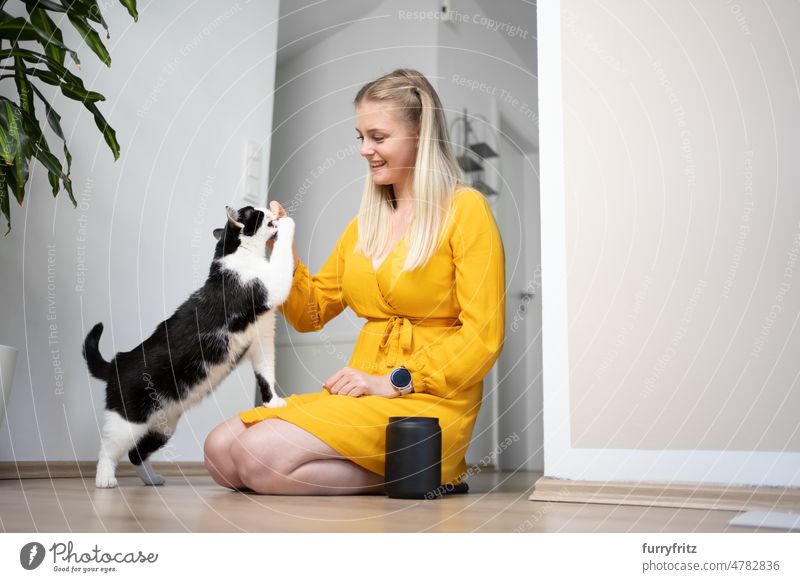 Junge Frau kniet auf dem Boden und füttert ihre Katze mit Snacks Kätzchen Ein Tier Tierhalter Person Kaukasier Mädchen blondes Haar Kleid gelb lange Haare schön