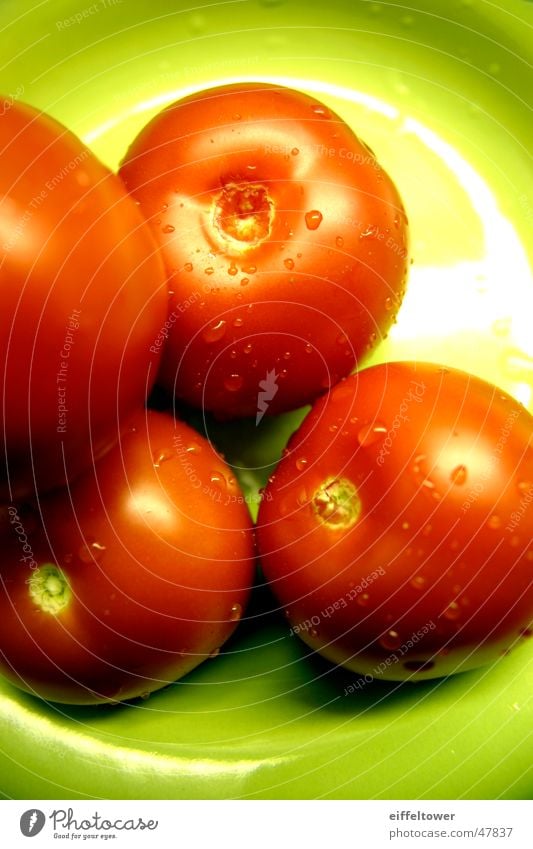 Tomate auf Teller rot grün Innenaufnahme Wasser Wassertropfen reflektion