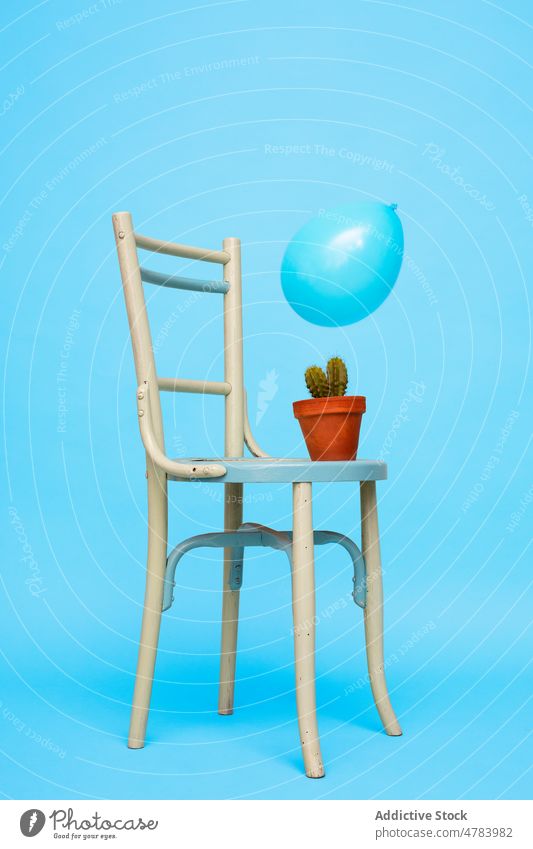 Kaktus auf Stuhl und blauer Luftballon im Atelier eingetopft dekorativ kreativ Dekoration & Verzierung Kakteen farbenfroh Stil Sukkulente Sitz besetzen piecken