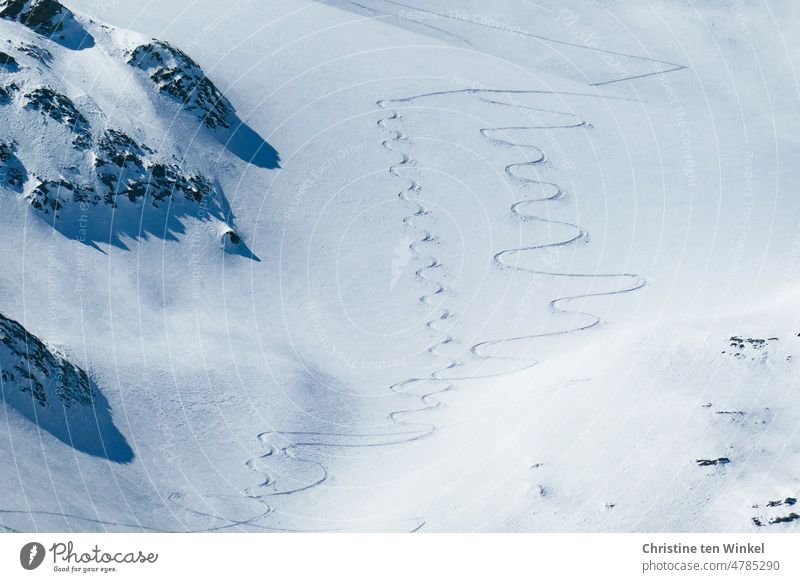 filigran | wirken die Skispuren im Tiefschnee aus der Entfernung Spuren im Schnee Skifahren Skifahren abseits der Piste Abfahrt Bögen gleichmäßig