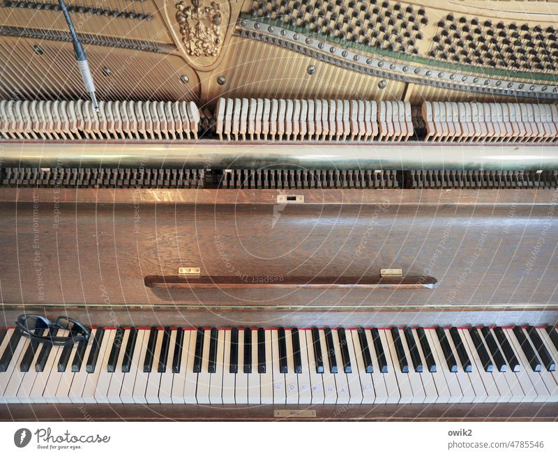 Klimperkasten Klavier Musikinstrument Tasteninstrumente Detailaufnahme Innenansicht Klaviatur System Klassik Anschlagmechanik Hammermechanik musizieren