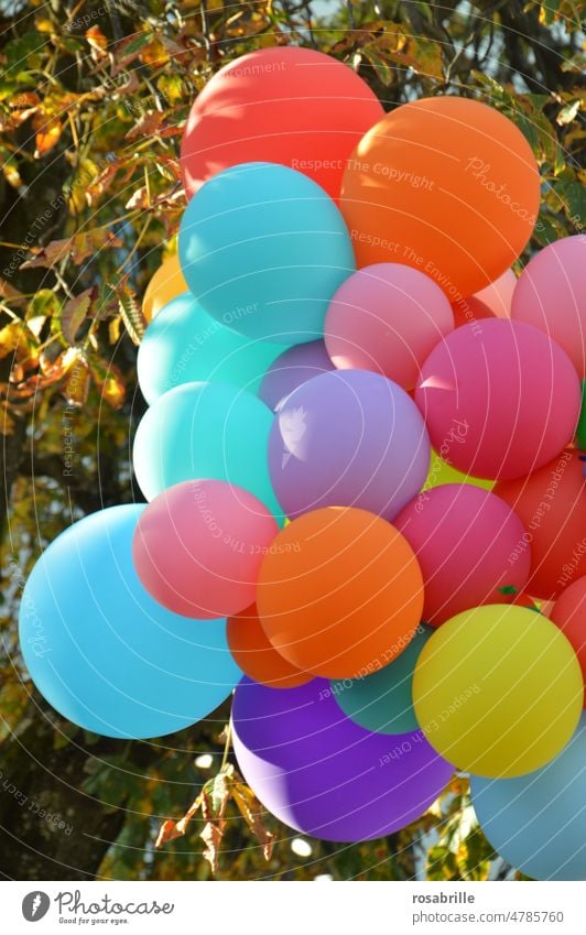 übertrieben | kleine Dekoration mit Luftballons Ballon leicht Leichtigkeit Entertainment Vorfreude Dekoration & Verzierung Feste & Feiern Jahrmarkt