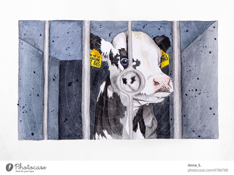 Ein Kalb mit Ohrmarken hinter Gittern eingesperrt in einer grauen Box. melken Kuh Nutztier Nutztiere Veganismus Veganer Vegane Ernährung Kuhmilch gemalt Tier
