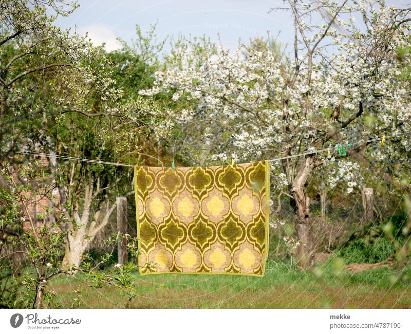 Alte Decke dekoriert den Frühlingsgarten Wäsche Wäscheleine aufhängen Haushalt Waschtag trocknen Wäsche waschen Seil Garten frisch Sommer Klammer Wäscheständer
