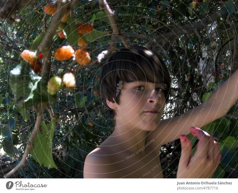 Junge isst Brombeeren von einem Baum. Essen Früchte Kind Gartenarbeit bezaubernd jung Fröhlichkeit im Freien roh Ast Frische Ernährung essen Hand Kinder