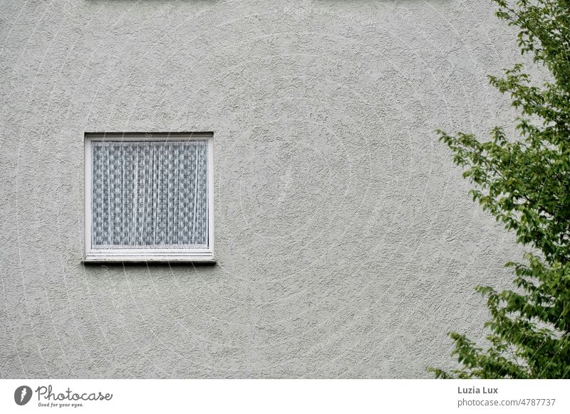 Teil einer Hausfassade, ein Fenster mit Spitzengardine, am rechten Rand grüne Zweige Fassade Hauswand Hauswandfenster altmodisch Gardine weiss weiß grau Laub