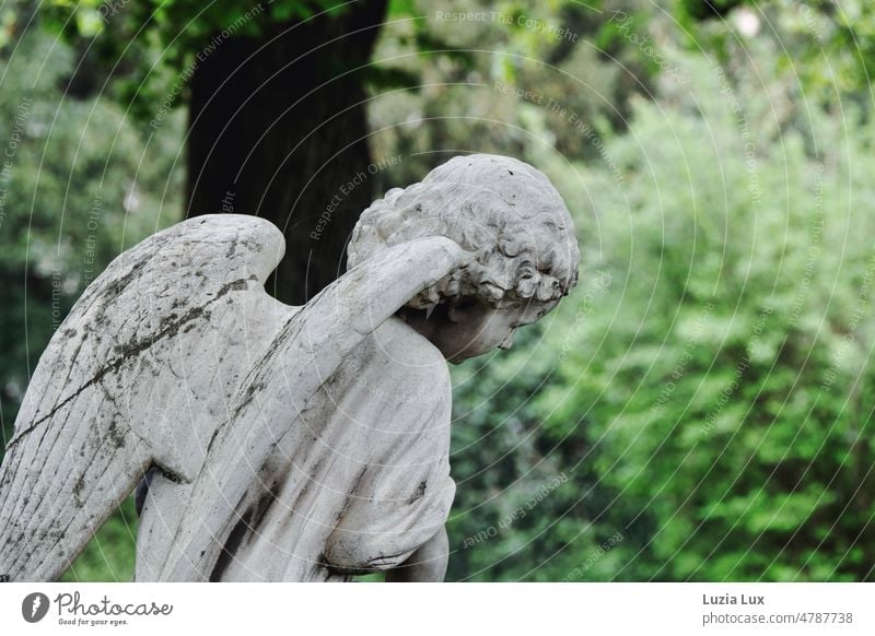 Der Engel - Skulptur eines Engels mit kindlichem Gesicht von hinten, vor grünem Laub Flügel Stein Statue Kind Friedhof Trauer Traurigkeit Tod Grab Außenaufnahme