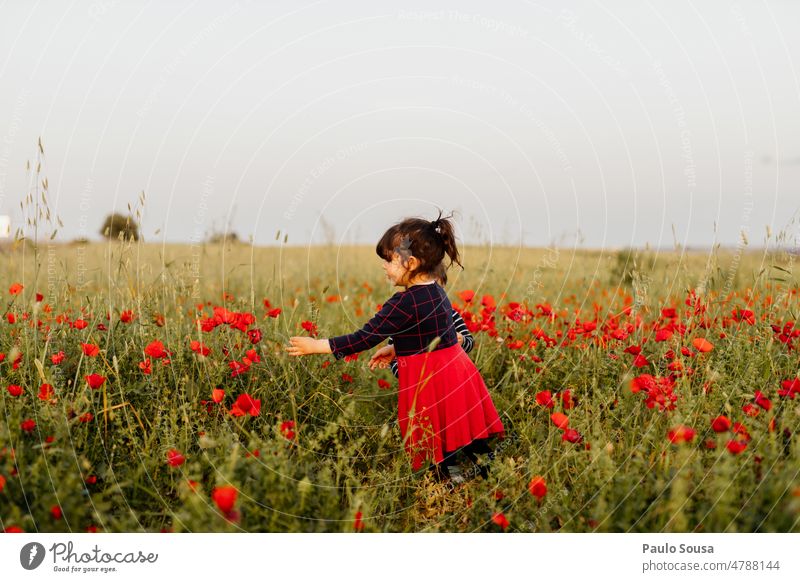 Mädchen pflückt Mohn Kind 3-8 Jahre echte Menschen eine Person Feld authentisch Natur erkunden Blumen pflücken Mohnblüte Mohnfeld Blühend Farbfoto rot Wiese