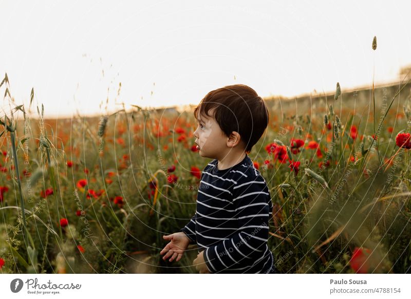 Niedlicher Junge auf Mohnfeld stehend niedlich eine Person echte Menschen 3-8 Jahre Kind Kindheit Farbfoto Kaukasier Freude Porträt Lifestyle Mohnblüte Wiese
