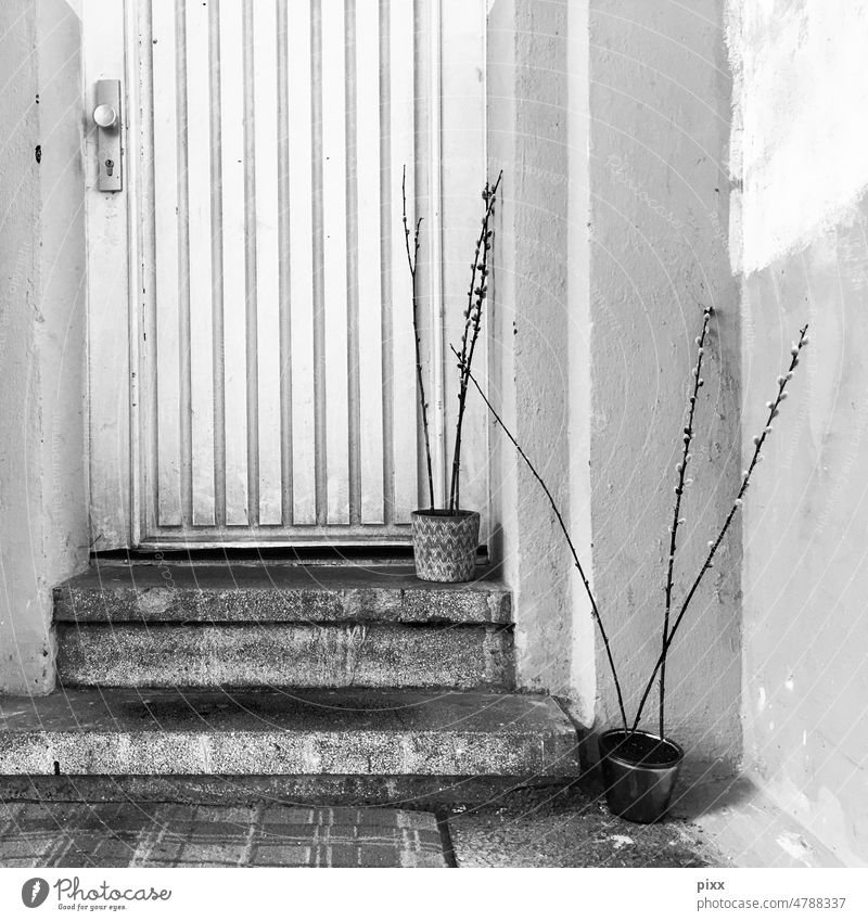 Haustür zu einer Wohnung. Trister Gesamteindruck. Zwei Stufen führen hoch. Schwarz Weiß. Fußmatte vor den Stufen und zwei Blumentöpfe mit vertrockneten Weidenkätzchen..