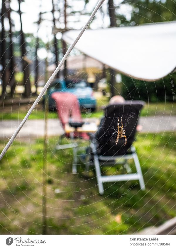 Spinnennetz mit gelbgestreifter Spinne vor unscharfem Campingstuhl Natur Tier Netz Außenaufnahme Insekt Beine Angst Ekel Panik bedrohlich gruselig beobachten