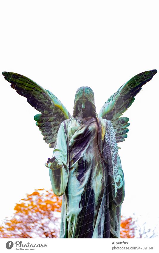 schillernde Persönlichkeit Engel engelsflügel Statue Religion & Glaube Engelsflügel Himmel Hoffnung außergewöhnlich Außenaufnahme Schutzengel Tag Flügel Trauer