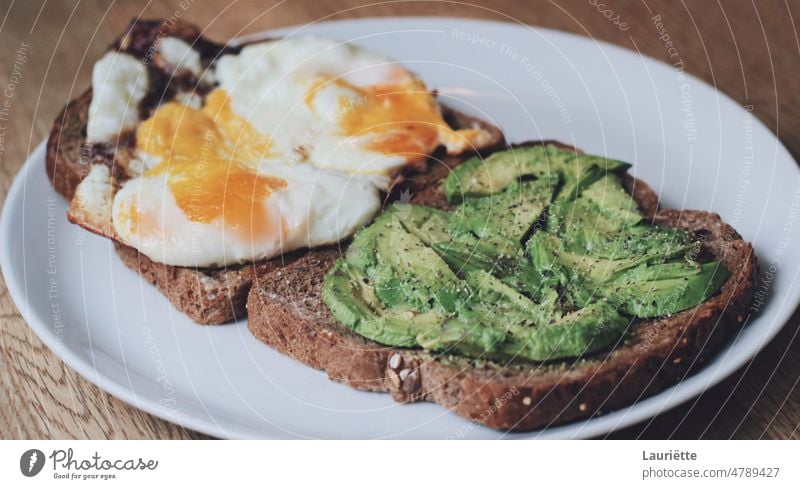 Ei und Avocado auf Toast Lebensmittel Frühstück Brot keine Menschen Gesunde Ernährung Mahlzeit Snack geröstetes Brot Belegtes Brot Mittagessen Teller Frische
