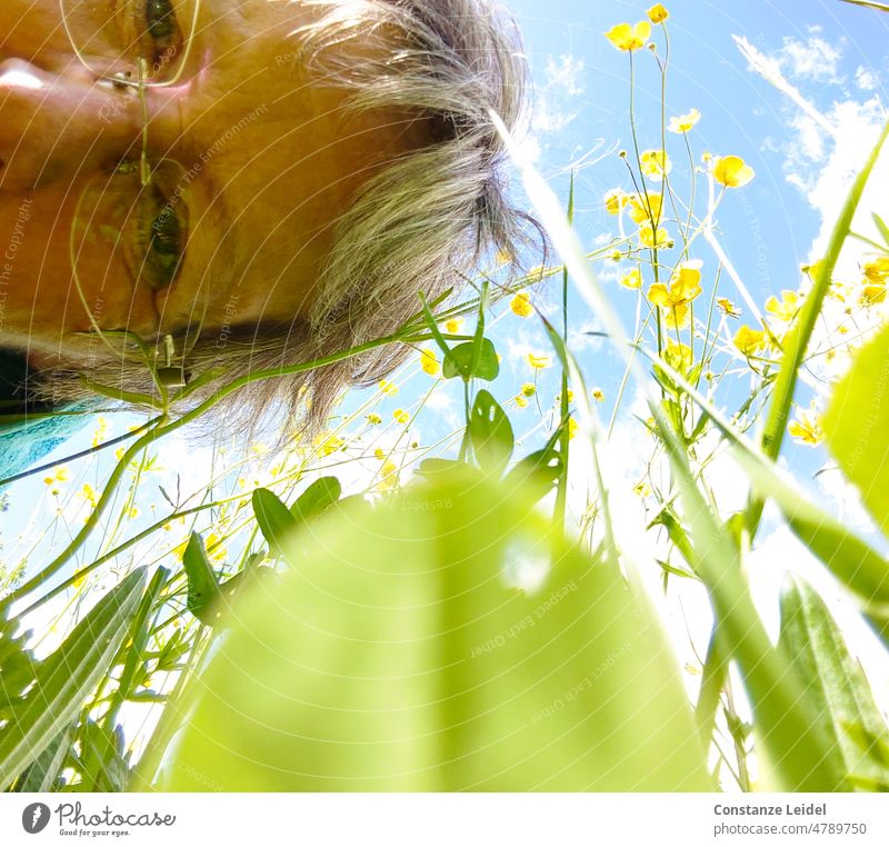 Porträt einer Frau, die sich über eine Blumenwiese beugt mit blauem Himmel im Hintergrund. Gesicht Brillenträger Erwachsene Blick in die Kamera Augen Wiese
