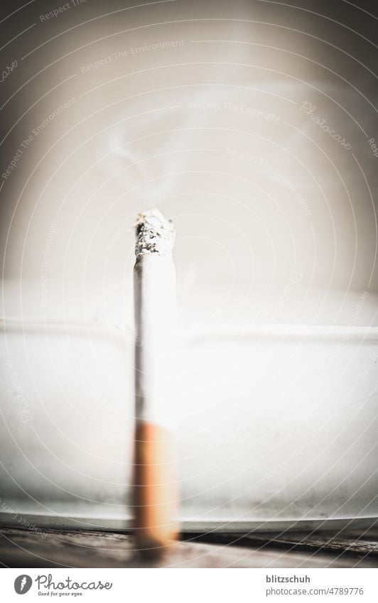 zigarette chillt im aschenbecher rauchend Suchtverhalten Aschenbecher Laster Gesundheitsrisiko Filterzigarette Abhängigkeit Zigarettenstummel Nikotingeruch