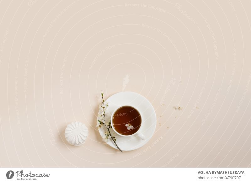 Flat Lay von Tee-Tasse stehend mit Apfel Blumen und Marshmellow auf beige Hintergrund mit Kopie Raum Apfelblüte weiß Aroma grün Kraut Geschmack Kaffeetasse