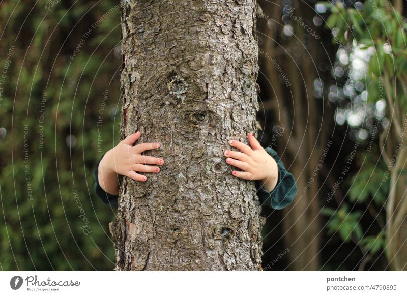 Ein kleines Kind umarmt einen Baum. Naturliebe, Umweltschutz. Baumstamm baumstamm umarmen grün Hände nagellack kinderhände Verstecken kinderspiel versteck