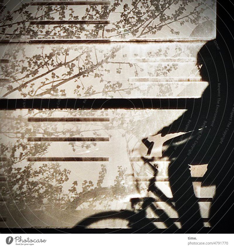 4eyes | bridge of illusion, 8 fahrrad frau Silhouette streifen gegenlicht sonnig Verkehrswege Verkehrsmittel fahrradfahren brücke schutz glas sicherheit deko