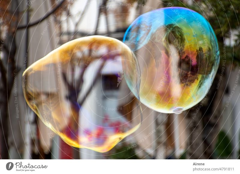 zarte Begegnung Seifenblase mehrfarbig fliegen schillernd zerbrechlich leicht Schweben Leichtigkeit rund Farbe glänzend hoch Kugel Blase Spielen