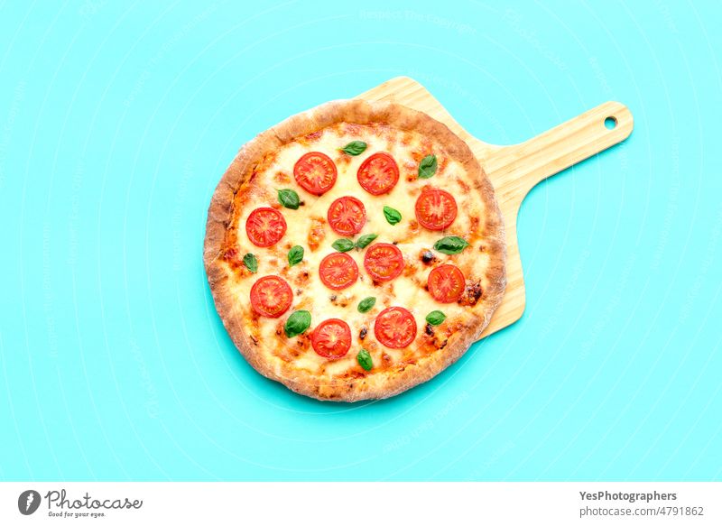 Vegetarische Pizza auf einem Holzbrett isoliert auf blauem Hintergrund oben gebacken Basilikum Holzplatte hell Kohlenhydrate Käse Farbe Kruste Küche zyan lecker