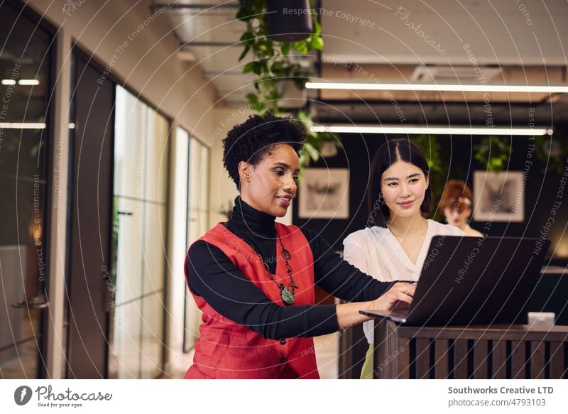 Porträt einer reifen schwarzen Frau und einer mittelalten chinesischen Kollegin, die einen Laptop in einem Großraumbüro benutzen Mitte Chinesisch Kollege