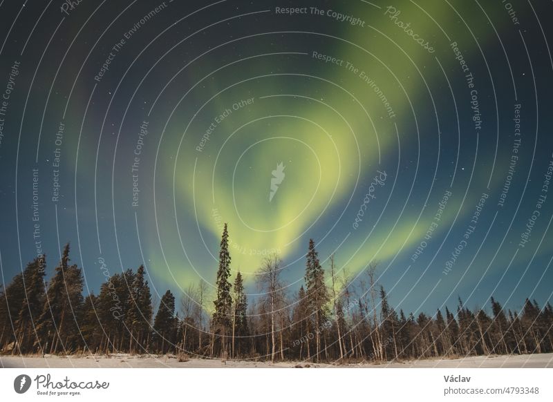 Atemberaubende grüne tanzende Aurora Borealis am dunklen Himmel in Levi, Lappland, Nordfinnland. Grüne Streifen von Nordlichtern während des Polarwinters in Skandinavien. Entdeckung der Wortspiele der Natur