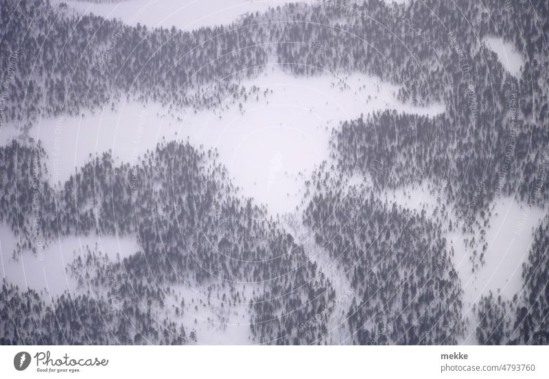 Arktische Winterlandschaft in Miniaturansicht Wald Schnee Luftaufnahme Baum weiß Draufsicht Landschaft Natur kalt Schneelandschaft Schneedecke Winterstimmung